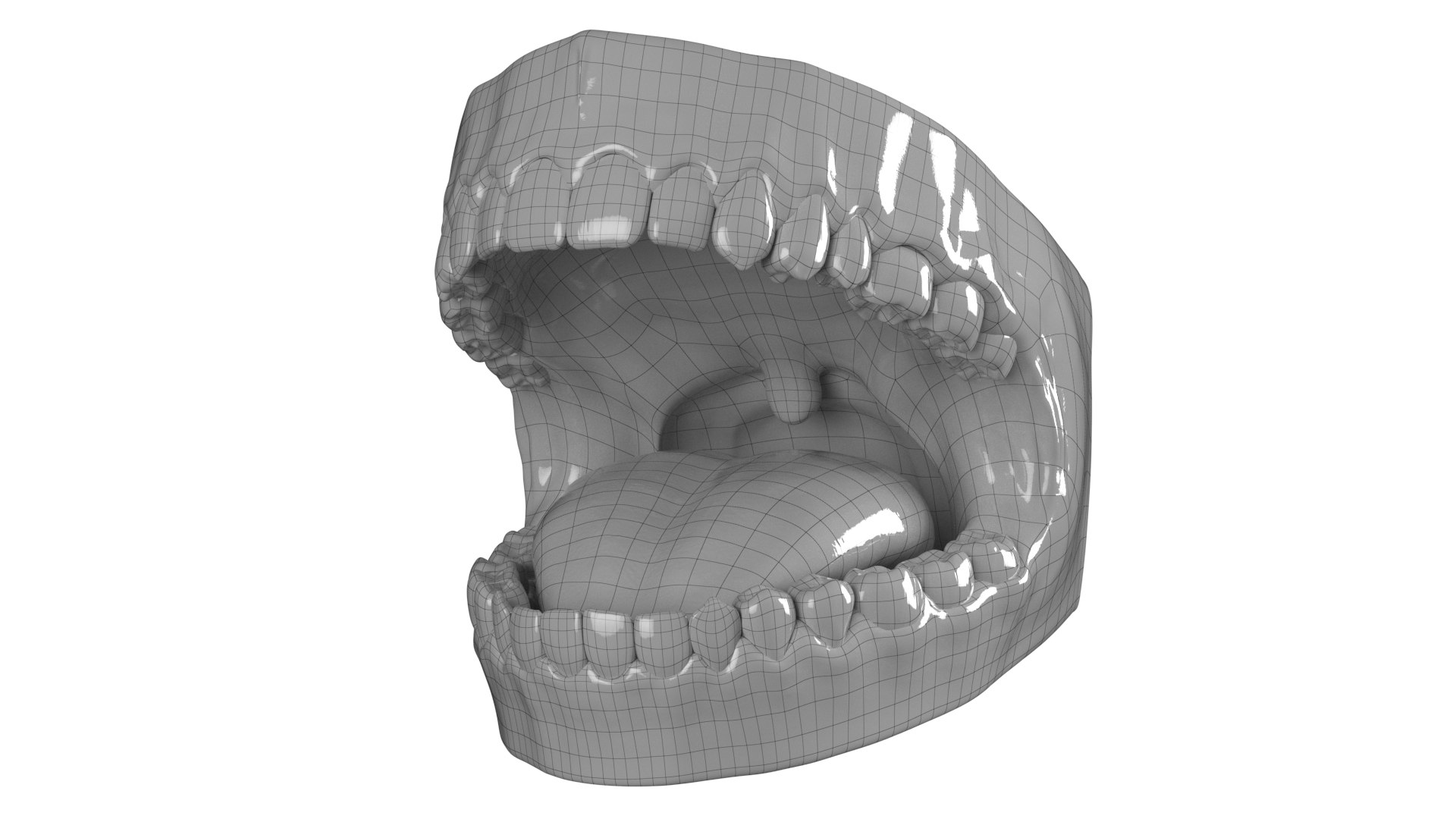 3D Mouth Animated v2 Vray https://p.turbosquid.com/ts-thumb/Xx/mk143D/5r/wireframe/png/1640126694/1920x1080/fit_q87/154d864d7ee61e0b907e3a56523e1b46900fe228/wireframe.jpg