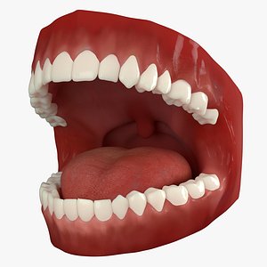 Mouth Animated v2 Vray