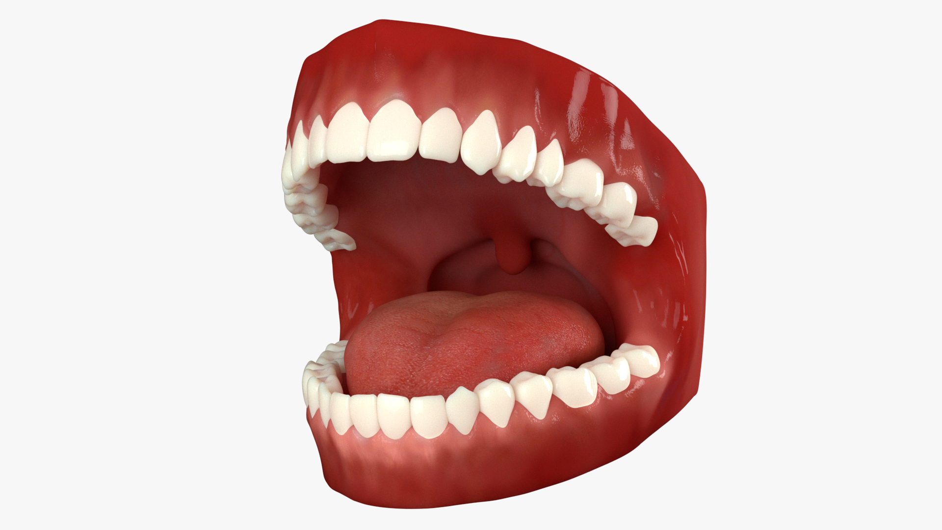 3D Mouth Animated v2 Vray https://p.turbosquid.com/ts-thumb/Xx/mk143D/Yj/mouth_animated_turntable1.rgb_color/png/1640126765/1920x1080/turn_fit_q99/0446c0587a77ba73b1b3654e01728f8a2e87003e/mouth_animated_turntable1.rgb_color-1.jpg