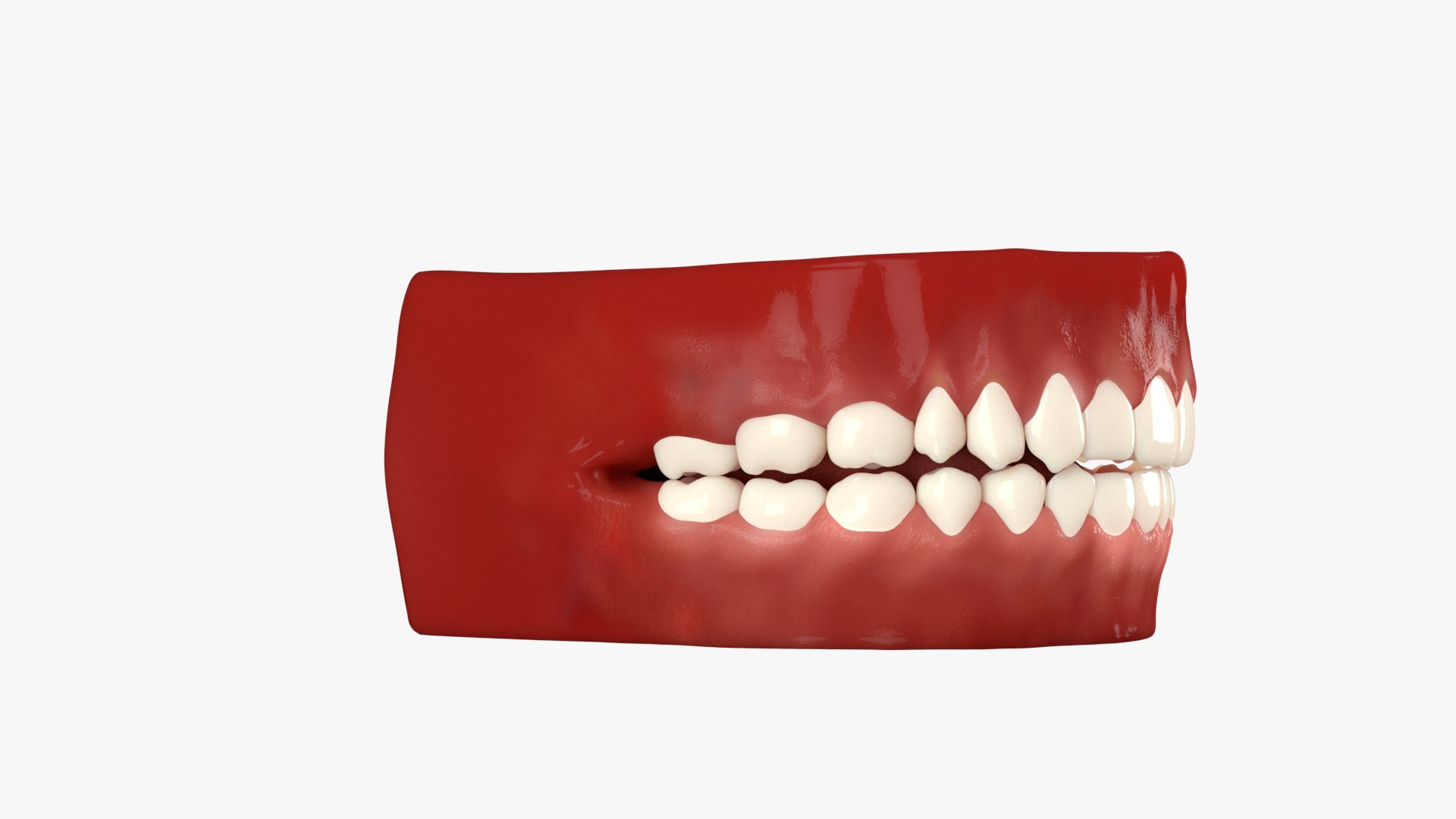 3D Mouth Animated v2 Vray https://p.turbosquid.com/ts-thumb/Xx/mk143D/kJ/mouth_animated_turntable1.rgb_color_00008/png/1640126732/1920x1080/fit_q87/c1e9f8acc5c27846252b8a6487e56cc2de6bd568/mouth_animated_turntable1.rgb_color_00008.jpg