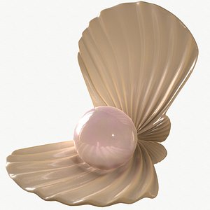 pearl shell 3D