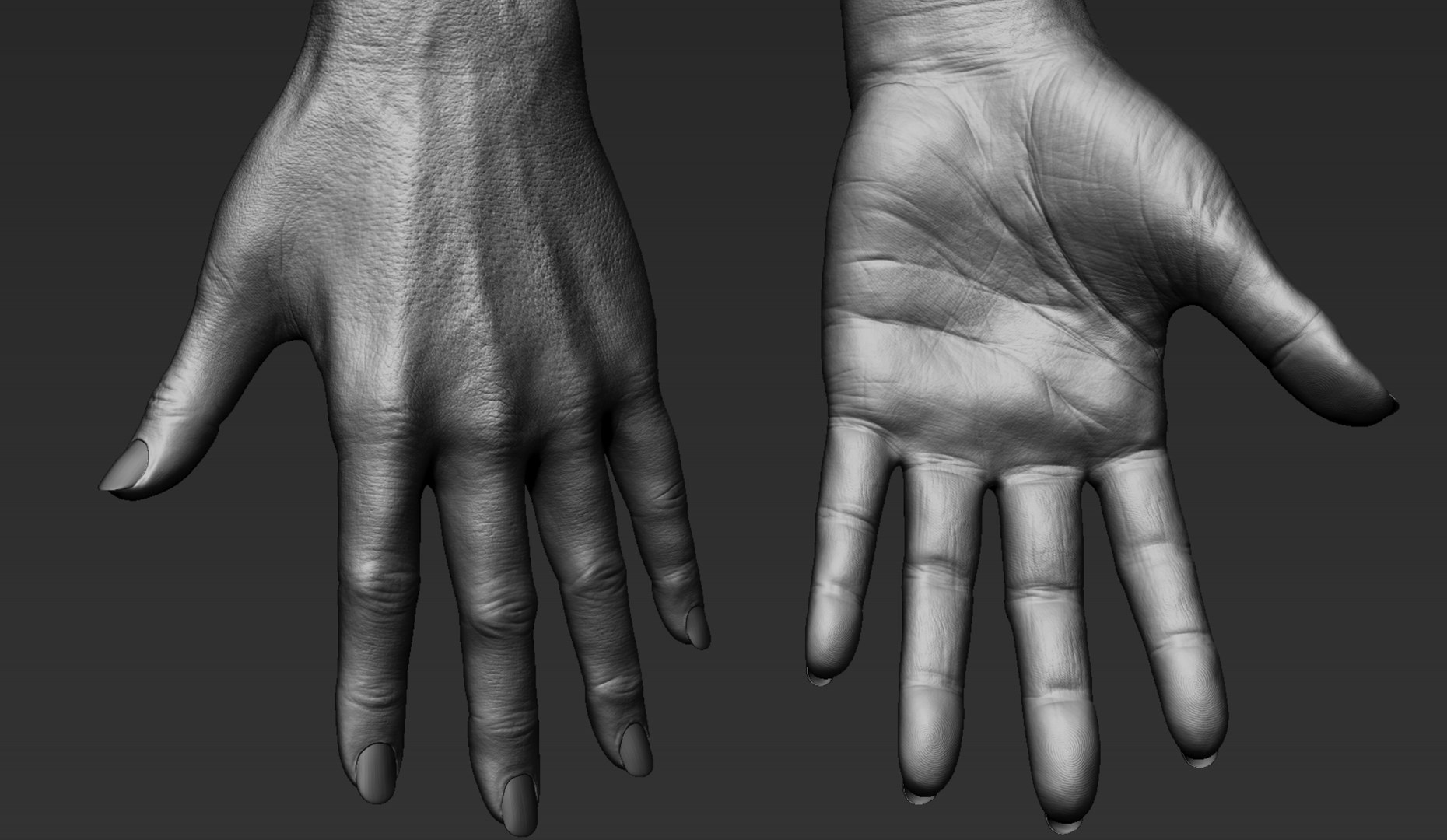 Female Hand 3D Model TurboSquid 1460768