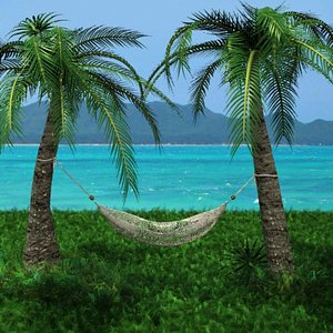 3D Hammock Model