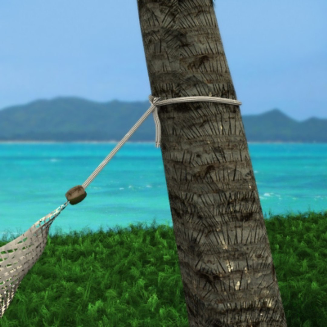 hammock palm trees 3d lwo https://p.turbosquid.com/ts-thumb/Xy/C613BJ/JID7ZL9u/2/jpg/1121313849/1920x1080/fit_q87/d49ad6dd819bbd2b06f3da355b8128c0e5163ab3/2.jpg