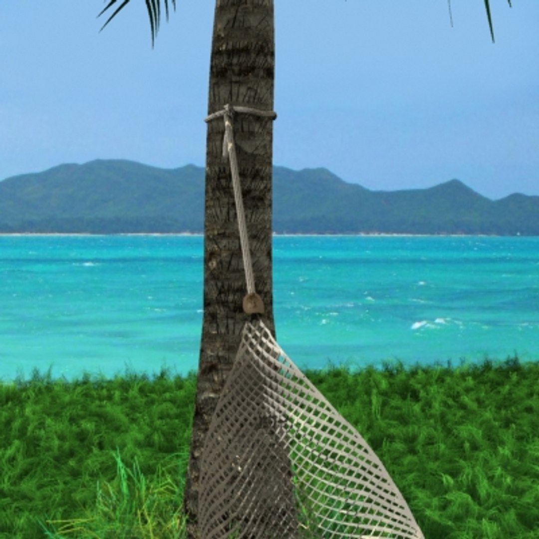 hammock palm trees 3d lwo https://p.turbosquid.com/ts-thumb/Xy/C613BJ/QXjAroRe/3/jpg/1121313853/1920x1080/fit_q87/633389263b0d10ea9fbd968a21082f877af0a6e4/3.jpg