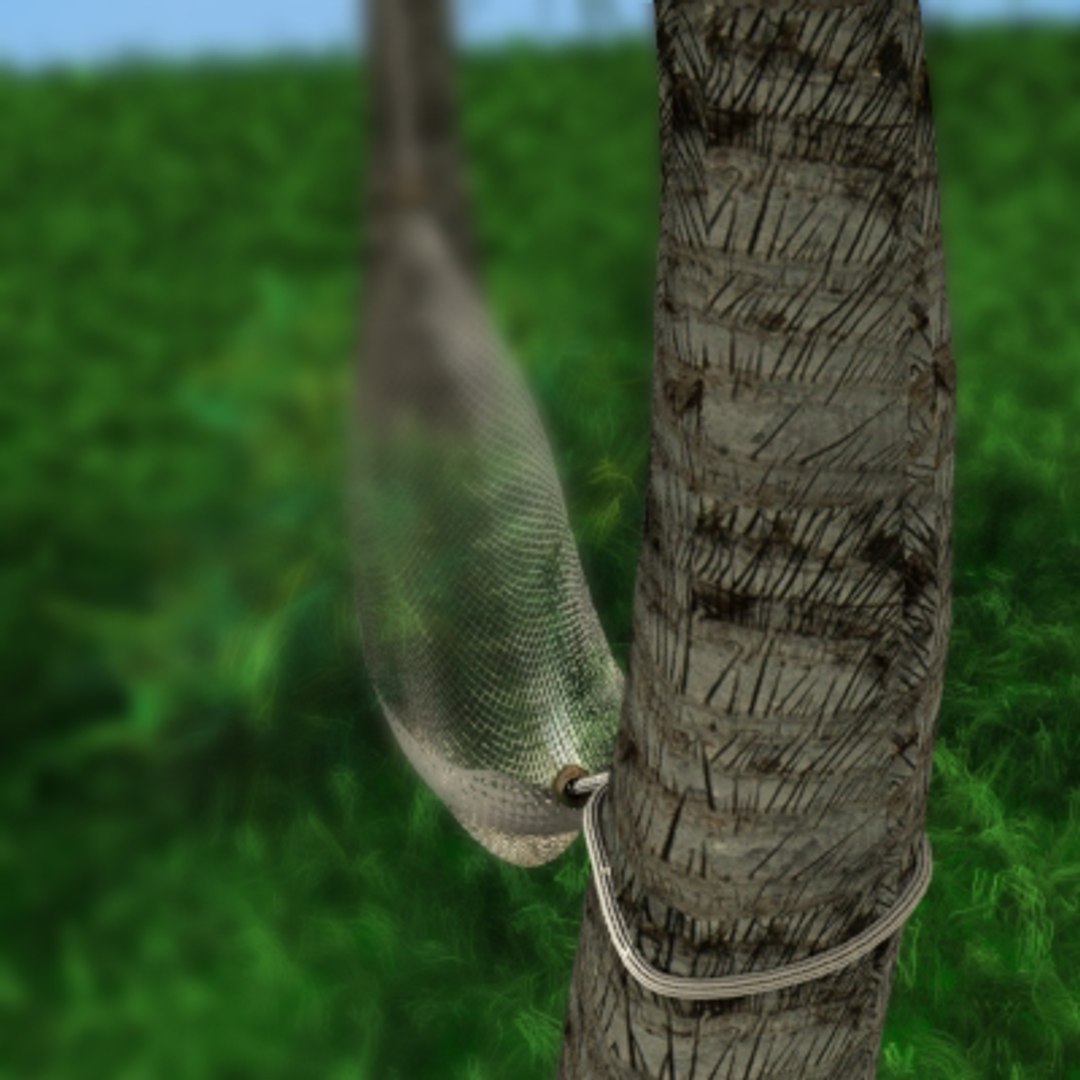 hammock palm trees 3d lwo https://p.turbosquid.com/ts-thumb/Xy/C613BJ/mfR4rtLL/4/jpg/1121313856/1920x1080/fit_q87/dcc10c2d0ba1c494f4c9a32be7666a9b9cc9a359/4.jpg