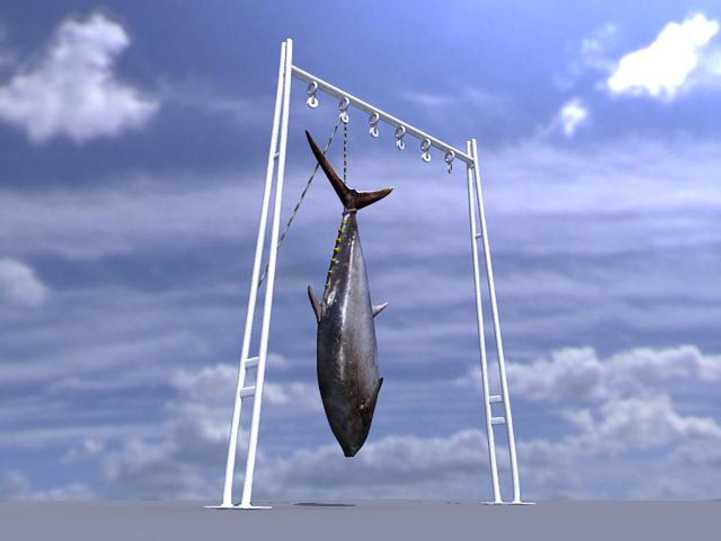 3ds atun fish https://p.turbosquid.com/ts-thumb/Xy/DEWvFG/HoLnnLHQ/tuna_02/jpg/1237909087/1920x1080/fit_q87/1c0d616a9def3a45454b92d9d97daea9ba32f544/tuna_02.jpg