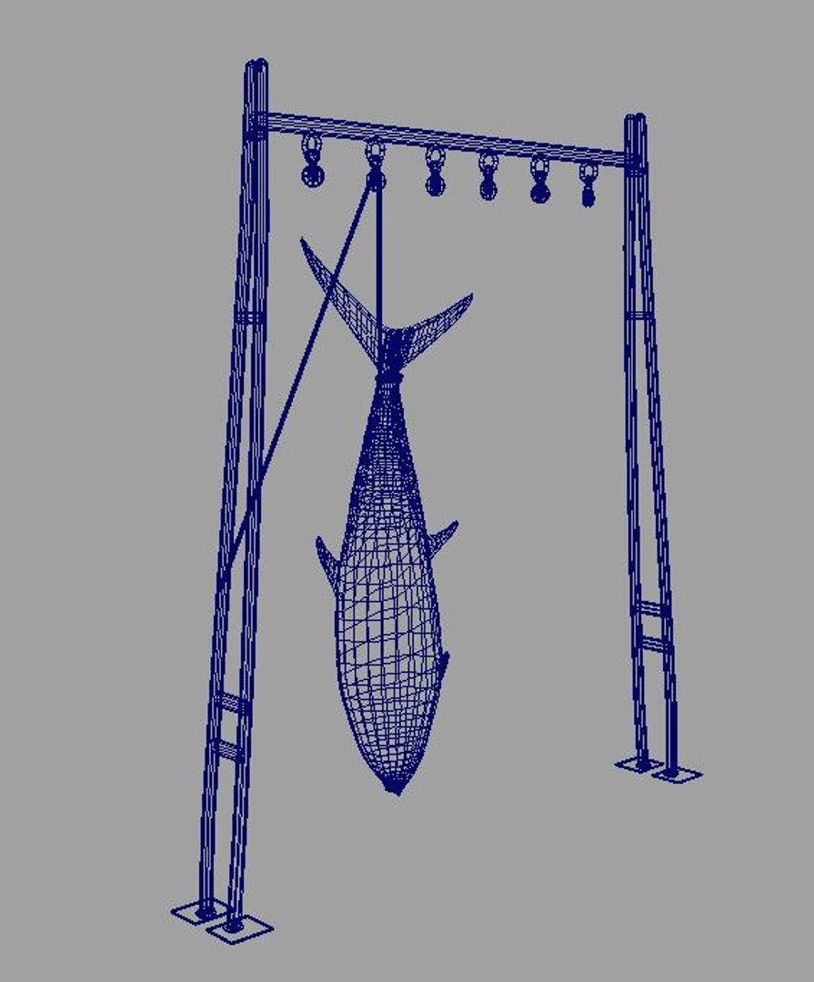 3ds atun fish https://p.turbosquid.com/ts-thumb/Xy/DEWvFG/Q0NTMva1/tuna_wireframe/jpg/1237909103/1920x1080/fit_q87/065c208a029e0a9904eb74a620a3fdb070e5ed2f/tuna_wireframe.jpg