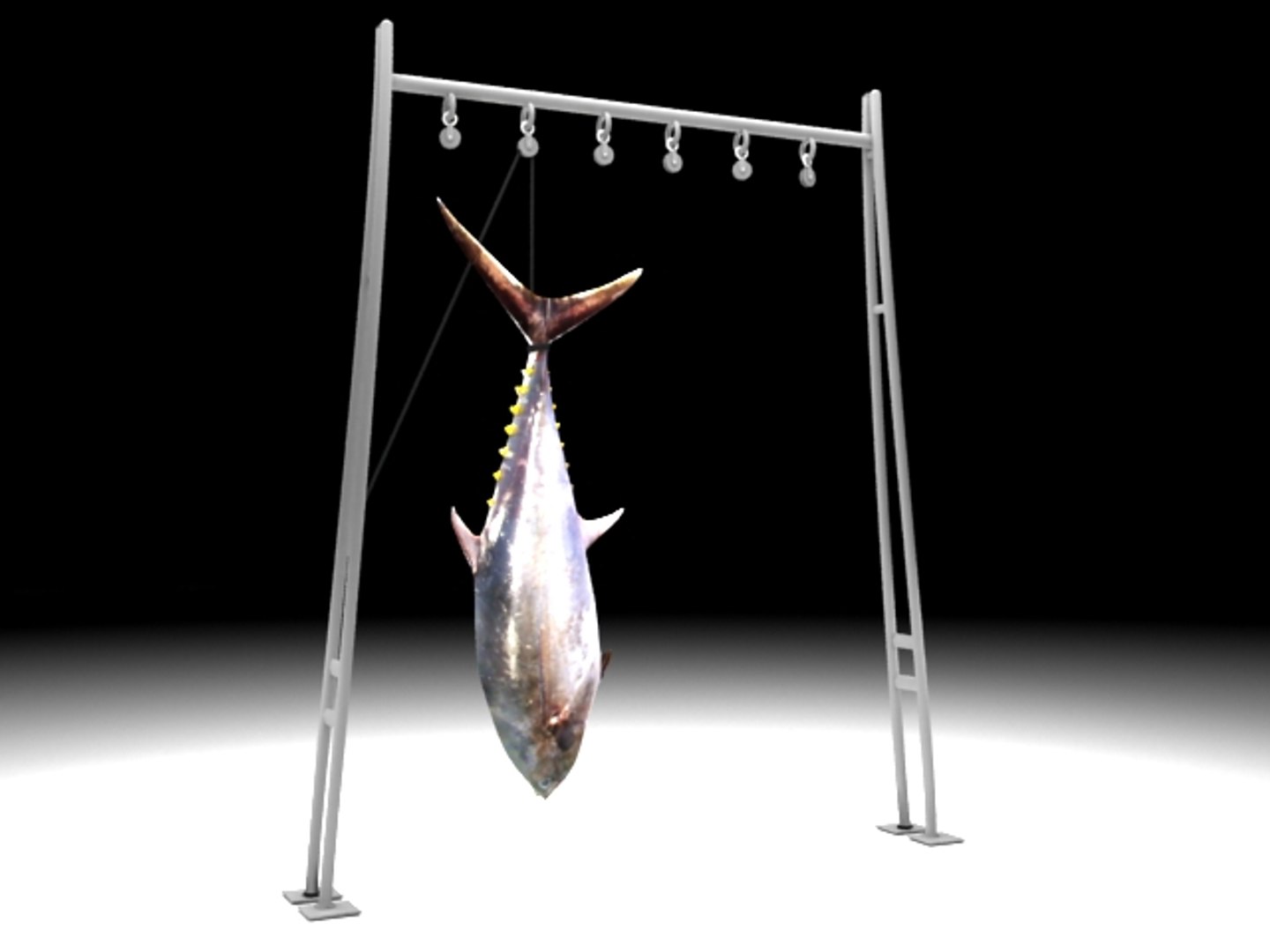 3ds atun fish https://p.turbosquid.com/ts-thumb/Xy/DEWvFG/ikNnqnq4/tuna_01/jpg/1238145302/1920x1080/fit_q87/5a14d82596a63cefa45851801b8f55dfcc862072/tuna_01.jpg