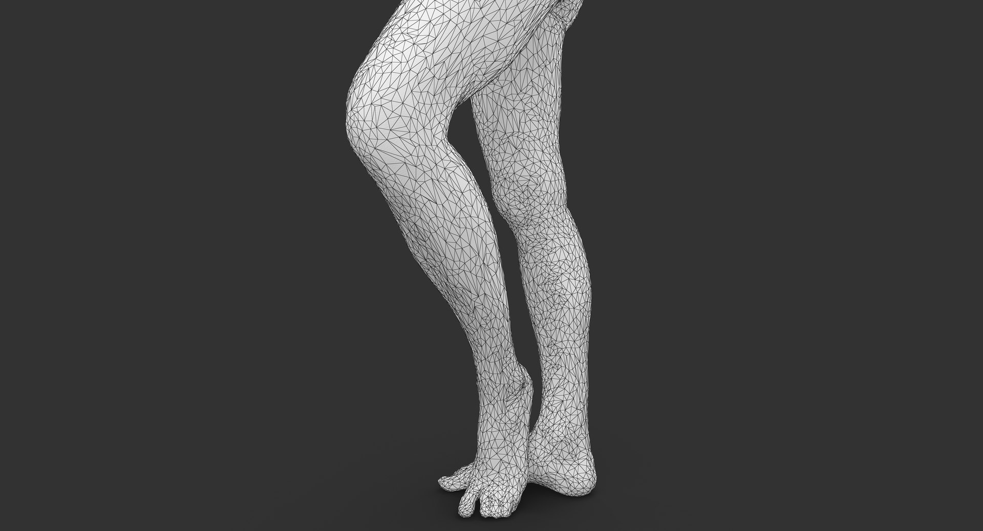 3d Model Human Body