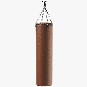 Detailed Heavy Punching Bag Brown model
