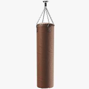 Detailed Heavy Punching Bag Brown
