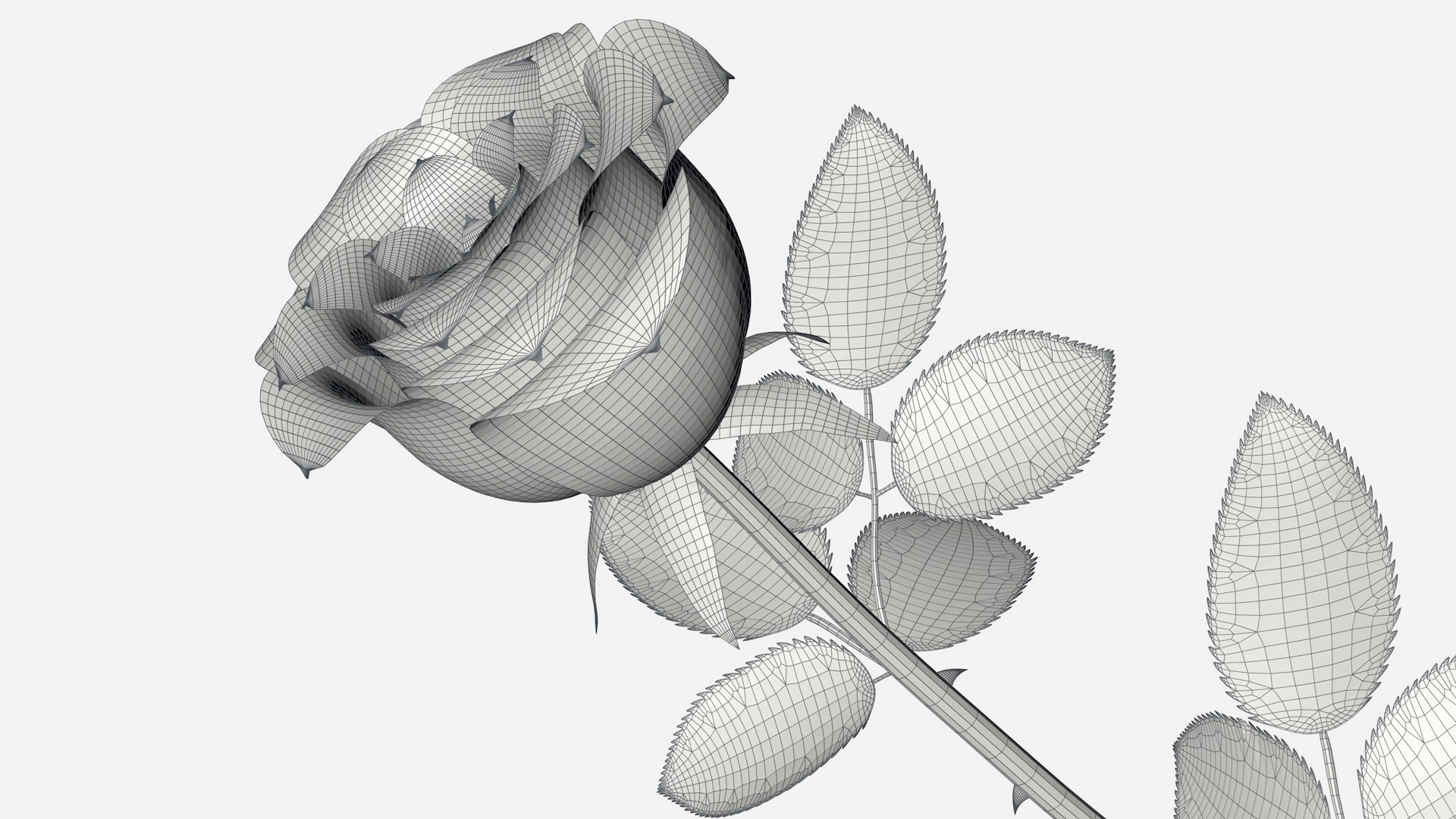 valentine s chocolate box 3D model https://p.turbosquid.com/ts-thumb/Xy/SW7OeE/8P/rose2_06/png/1613250005/1920x1080/fit_q87/67894415043924c881fce81e45a8aa3c30f00919/rose2_06.jpg
