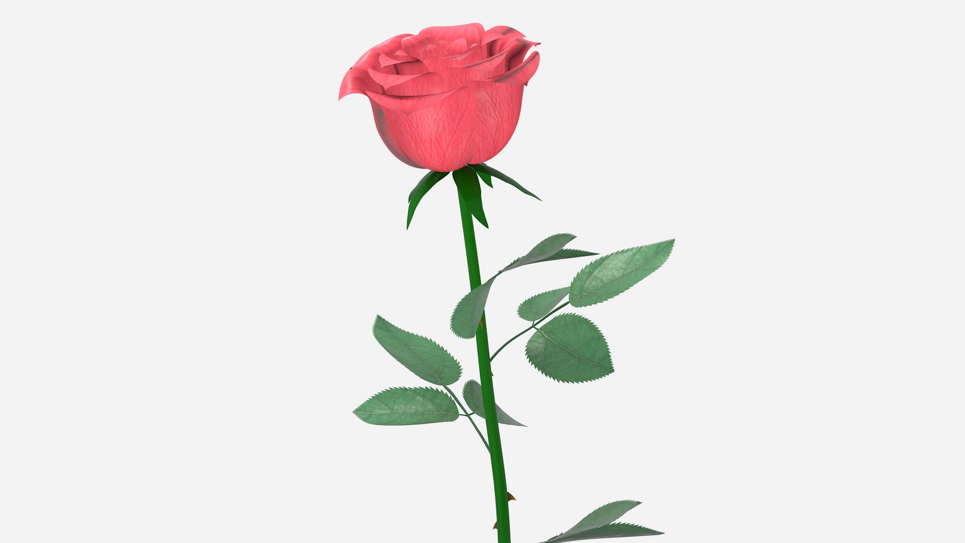 valentine s chocolate box 3D model https://p.turbosquid.com/ts-thumb/Xy/SW7OeE/q6/rose2_03/png/1613250004/1920x1080/fit_q87/5d7d03d3b5fa9a74f62c6cb1571c1276428b1562/rose2_03.jpg