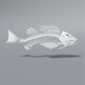 max fish skeleton