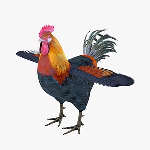 Rooster Bird Rigged