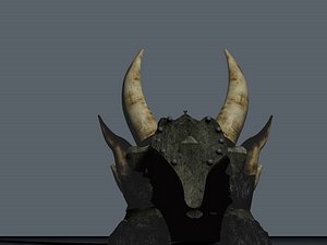 helmet