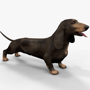 Dachshund Rigged L1802 model
