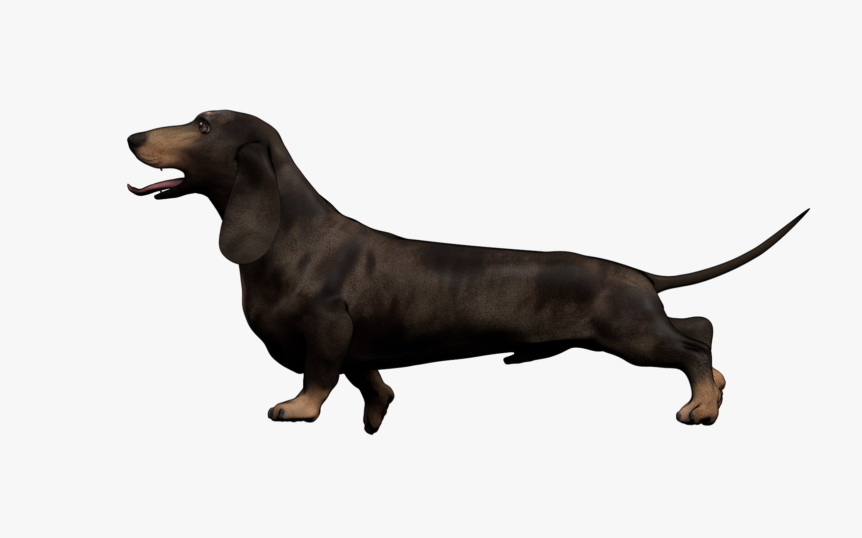 Dachshund Rigged L1802 model https://p.turbosquid.com/ts-thumb/Xy/sDWhg9/9s/18_0012/png/1663785657/1920x1080/fit_q87/9e5fdab9318237040d1483d6d63a2fe65188e4a5/18_0012.jpg