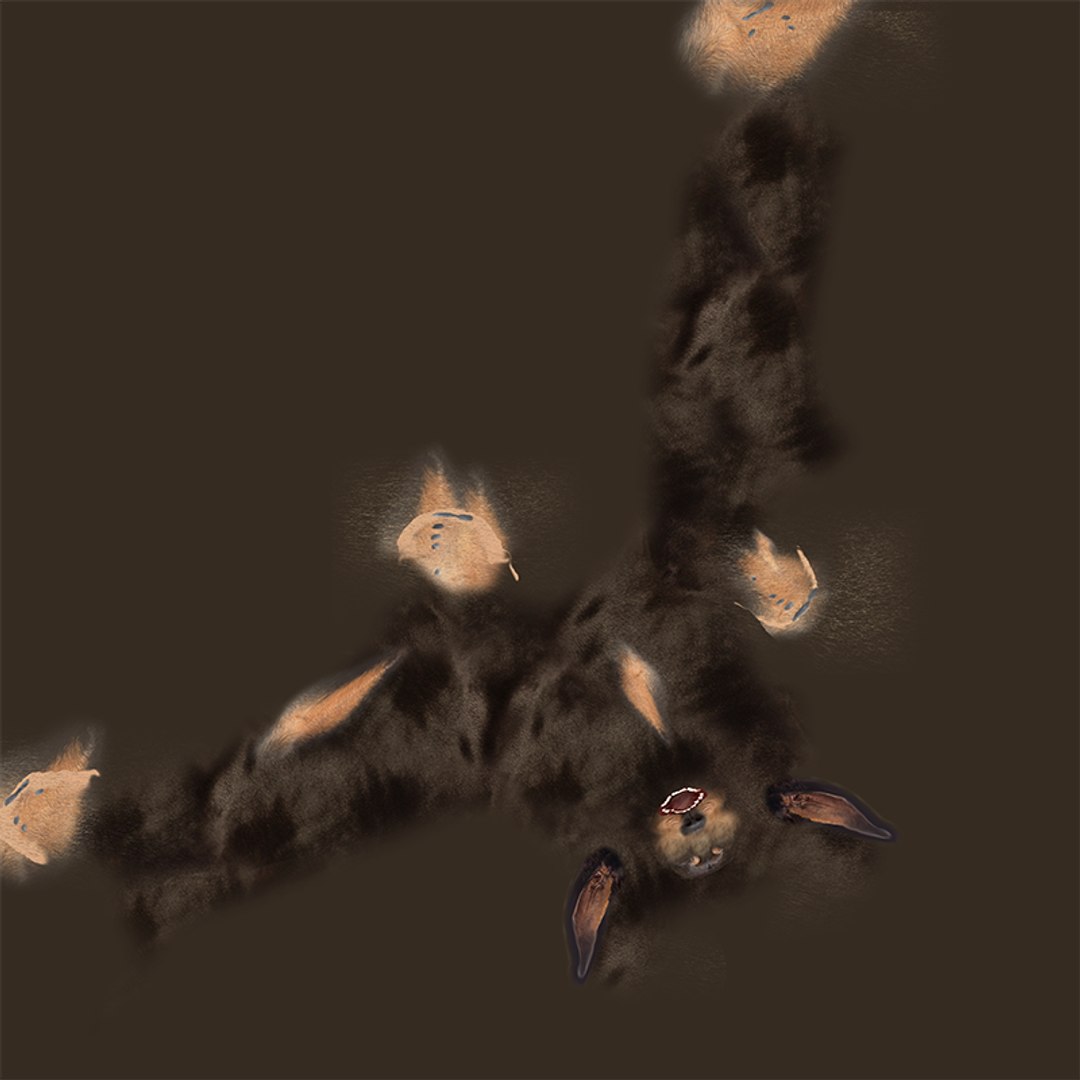 Dachshund Rigged L1802 model https://p.turbosquid.com/ts-thumb/Xy/sDWhg9/Fa/uv/png/1663785659/1920x1080/fit_q87/c6f39d996d0f9a0f66927e714c5c0c0de834064e/uv.jpg