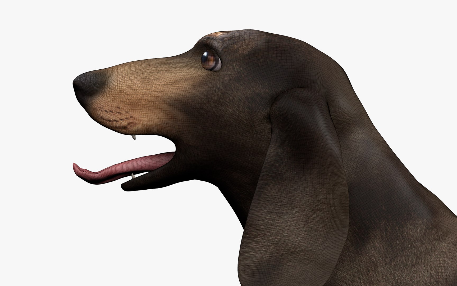 Dachshund Rigged L1802 model https://p.turbosquid.com/ts-thumb/Xy/sDWhg9/Ou/19_0012/png/1663785661/1920x1080/fit_q87/2c130ed1e1e7d09457f5ce05da717d4b0e10250c/19_0012.jpg