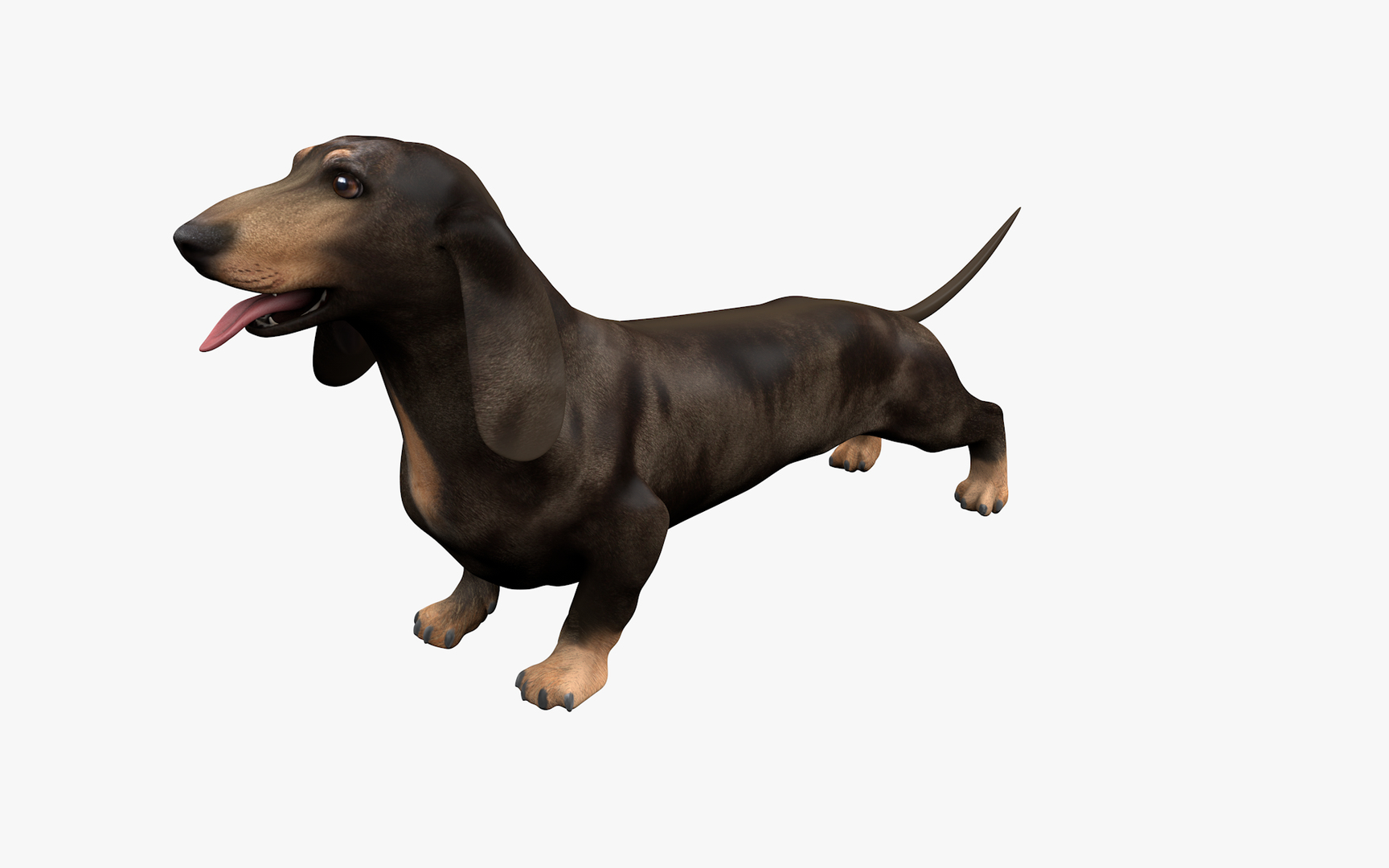 Dachshund Rigged L1802 model https://p.turbosquid.com/ts-thumb/Xy/sDWhg9/P1/0000/png/1664133087/1920x1080/turn_fit_q99/0aded2c46417233e003e868eda979eeea0ccab94/0000-1.jpg