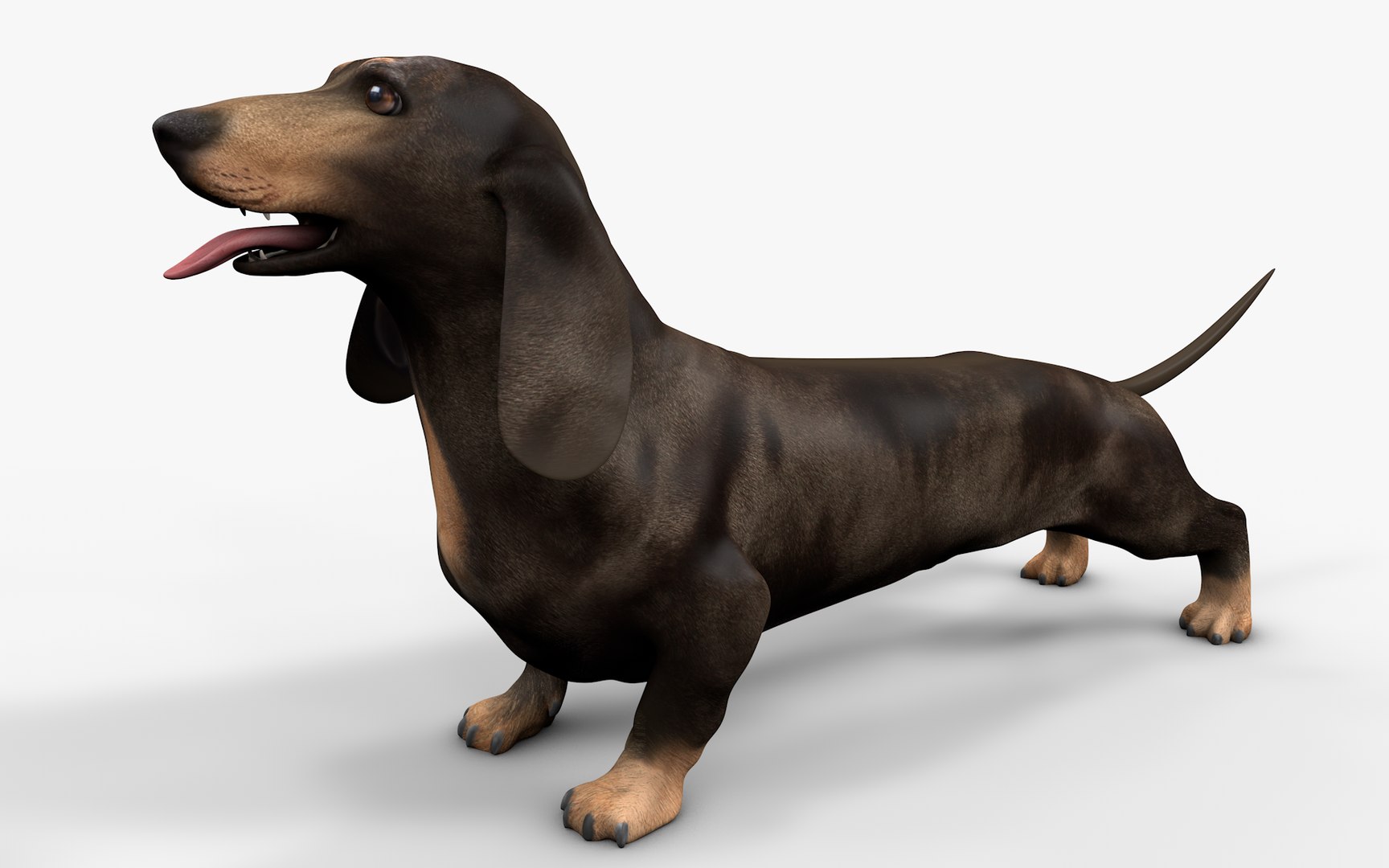 Dachshund Rigged L1802 model https://p.turbosquid.com/ts-thumb/Xy/sDWhg9/Ss/08_i7/png/1663785645/1920x1080/fit_q87/9efb86dc3842badd8b8a43b432dcda62d806c3a3/08_i7.jpg