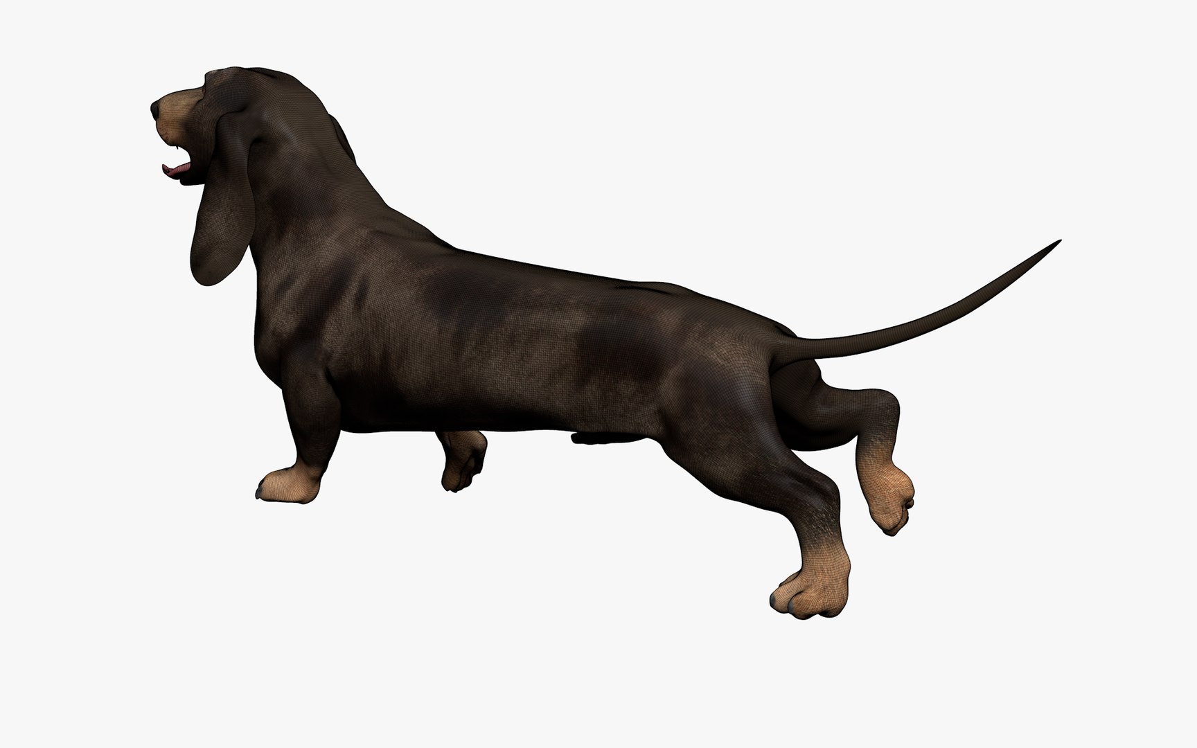 Dachshund Rigged L1802 model https://p.turbosquid.com/ts-thumb/Xy/sDWhg9/if/13_0012/png/1663785649/1920x1080/fit_q87/114c87616ac24ccacee8a5f46ff932b2f833a1cb/13_0012.jpg