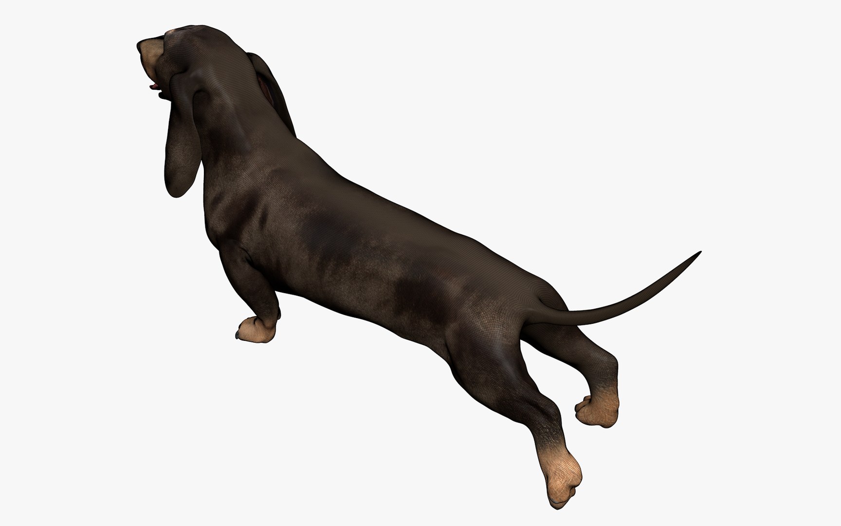 Dachshund Rigged L1802 model https://p.turbosquid.com/ts-thumb/Xy/sDWhg9/kV/07_0040/png/1663785641/1920x1080/fit_q87/d34f818968e05143cbee923a4fdb887b10e27ec3/07_0040.jpg
