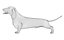 Dachshund equipado L1802