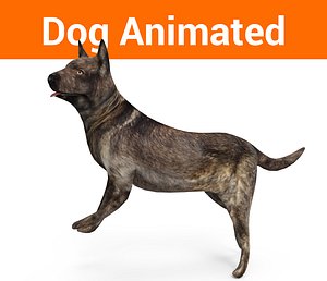 3D german shepherd dog rigged