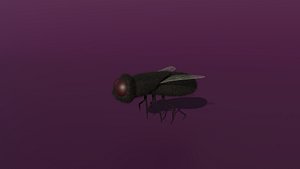 A rigged fly