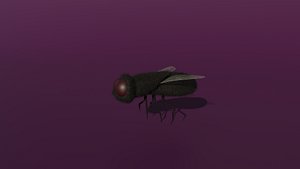 A rigged fly
