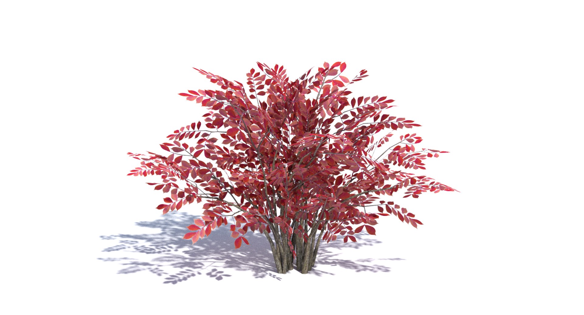 bush summer winter 3d model https://p.turbosquid.com/ts-thumb/Xz/Bn074S/VcXcwnxC/thumbnail_fall/png/1442254423/1920x1080/fit_q87/32da4ae115e4f24593838f89b5bba3a60e344d6f/thumbnail_fall.jpg