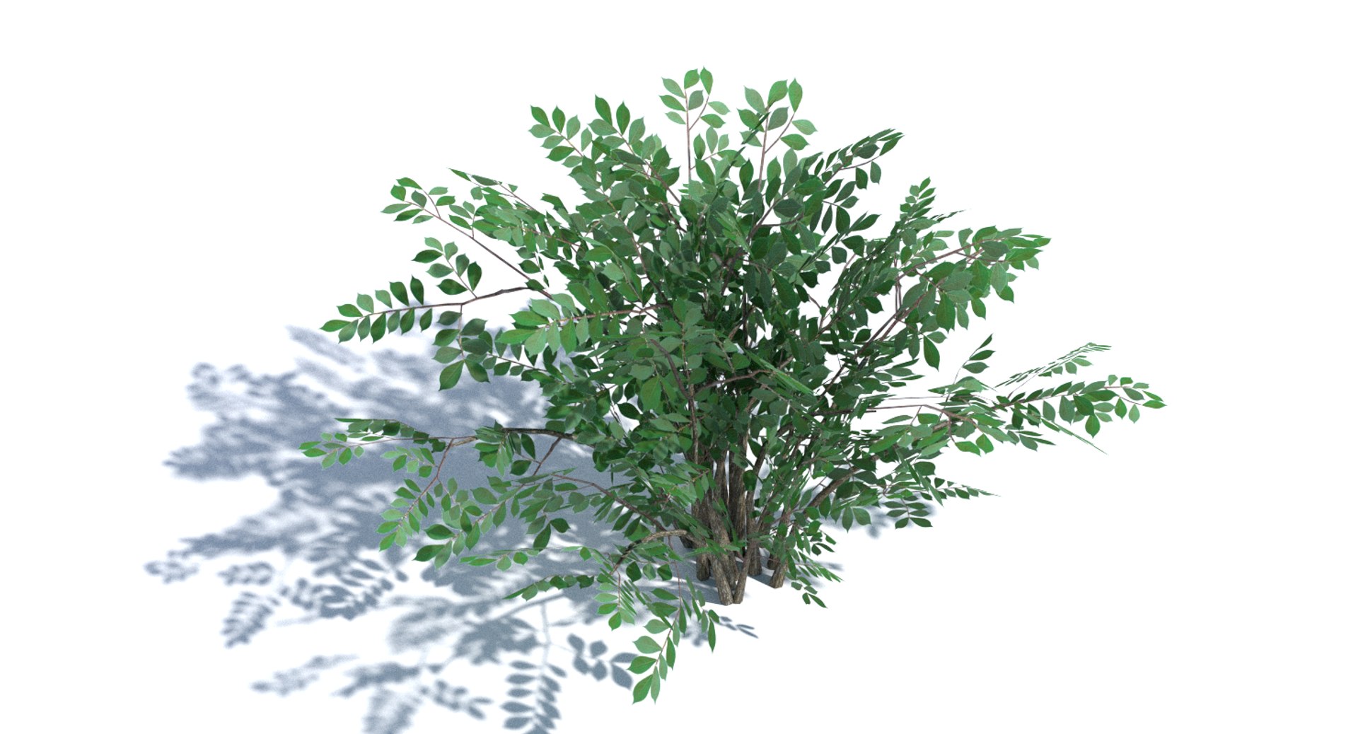 bush summer winter 3d model https://p.turbosquid.com/ts-thumb/Xz/Bn074S/hFVVL6NG/thumbnail_2/png/1442254423/1920x1080/fit_q87/f368a30b3ae3e04f66d4d070aa8c479399b37bdb/thumbnail_2.jpg