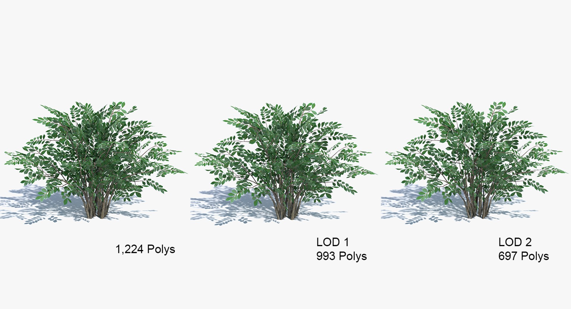 bush summer winter 3d model https://p.turbosquid.com/ts-thumb/Xz/Bn074S/u70QuZuH/polys/png/1442254423/1920x1080/fit_q87/ac84ffdf823ba6a65624c704bc43a8298e35a985/polys.jpg