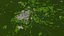 Springfield City