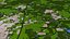 Springfield City