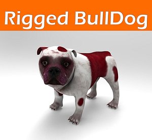 3ds bulldog rigged