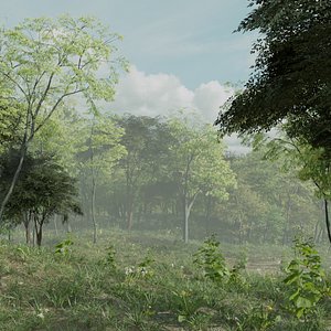 Most Realistic FOREST