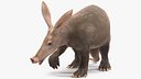 Aardvark Fur Rigged