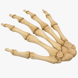 Skeleton Hand