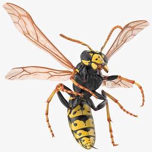 Wasp Attacking Pose