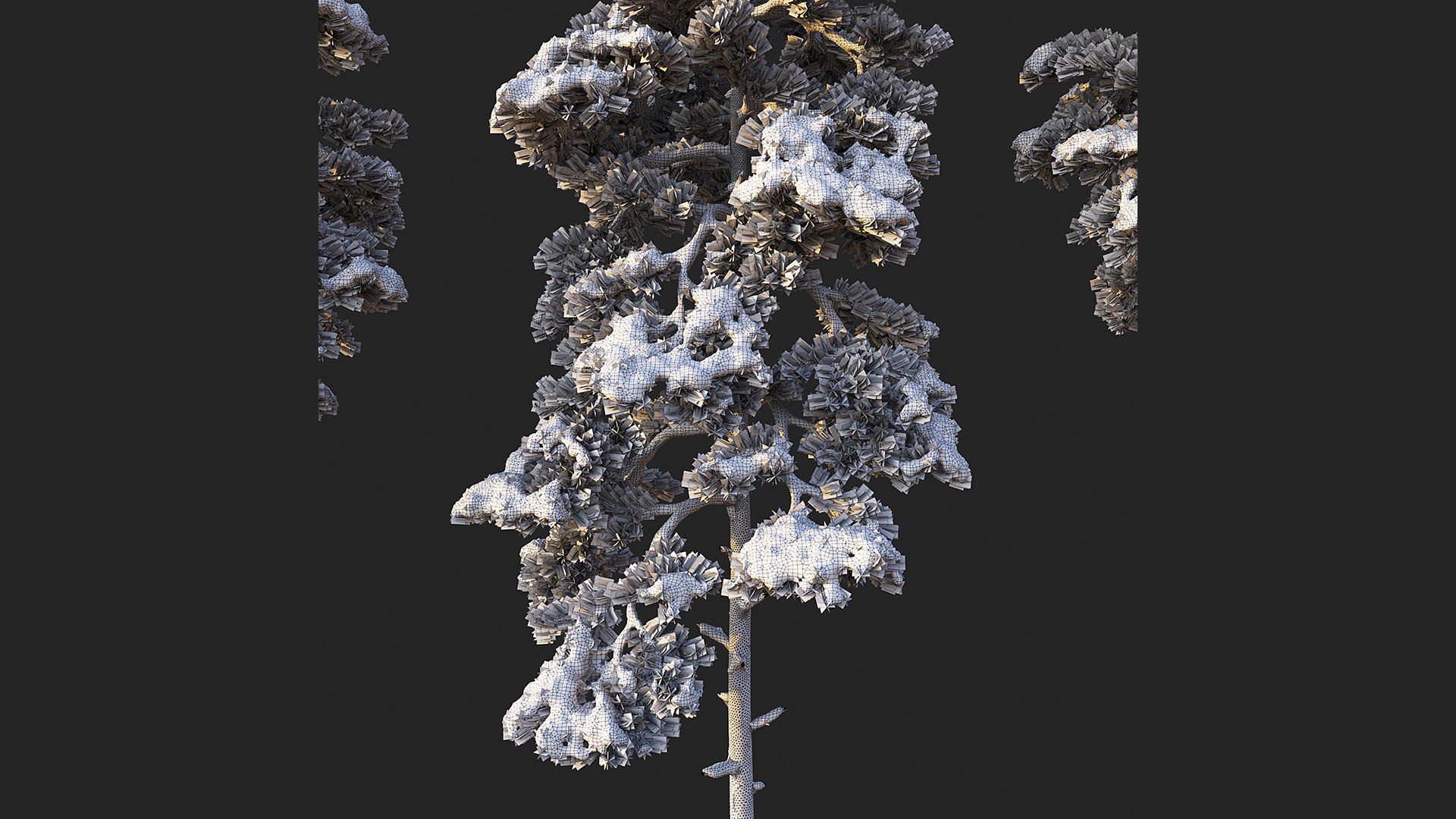 3D Pine Set 01 Snow version https://p.turbosquid.com/ts-thumb/Xz/nct6F1/wc/05/jpg/1639759562/1920x1080/fit_q87/eb75c83bb033d0649dc744c2455394e2a7128df8/05.jpg