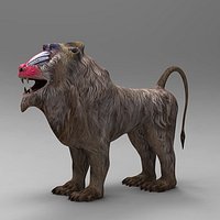 Baboon Mandrillus