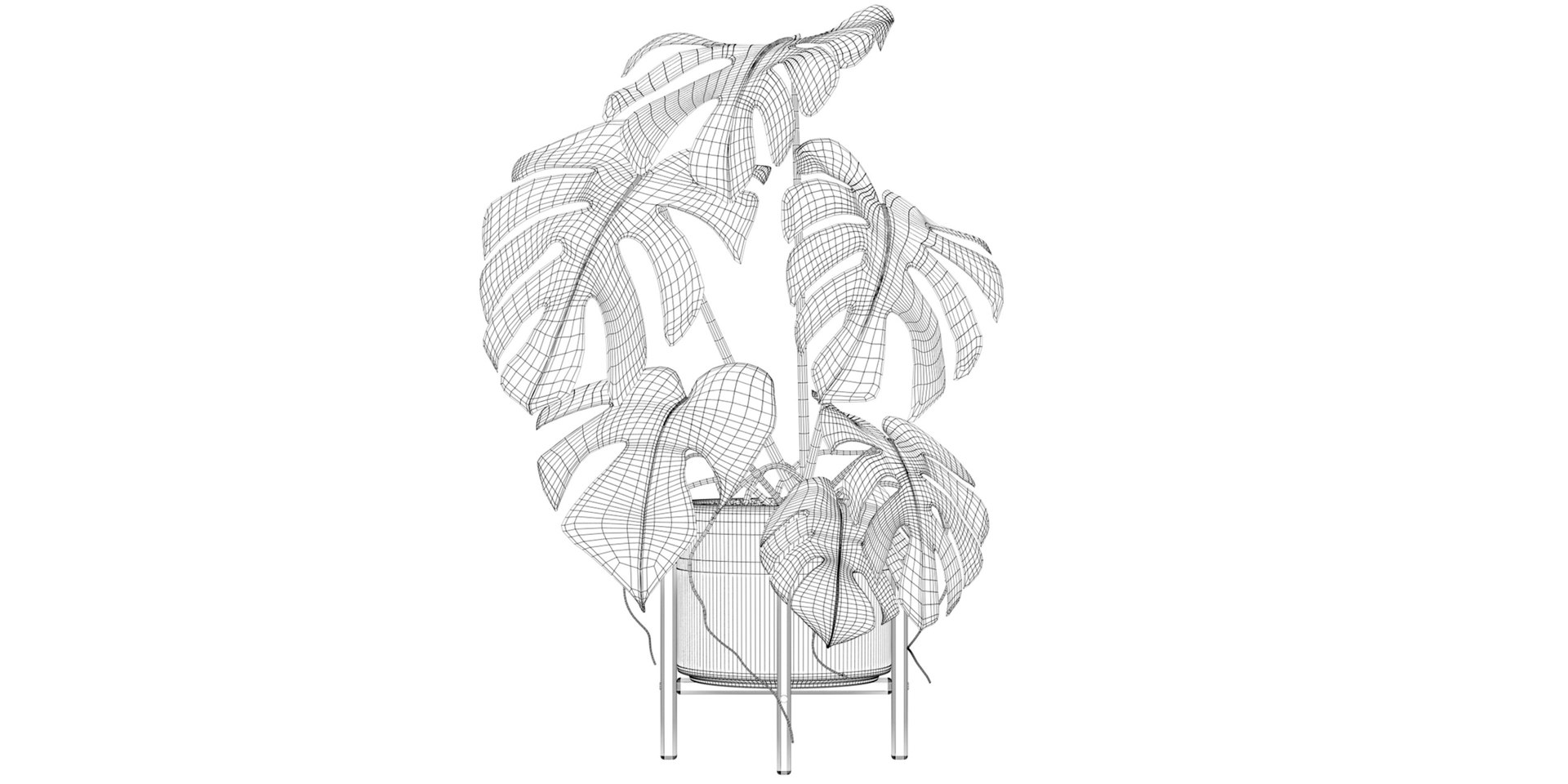 Monstera in modern pot 3D model https://p.turbosquid.com/ts-thumb/Y0/FIyaDU/Sr/3/jpg/1707221262/1920x1080/fit_q87/1c828b892fd0b08c4a6c6e5f6b9a78e2fc2f4b71/3.jpg