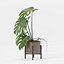 Monstera en maceta moderna