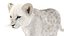 Animated Lion Cub 3D Models Fur | White and Natural Colors 3D model