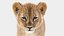 Animated Lion Cub 3D Models Fur | White and Natural Colors 3D model