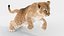 Animated Lion Cub 3D Models Fur | White and Natural Colors 3D model